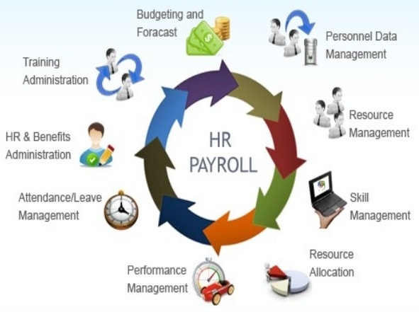Application of Computers for Textile and Apparel Business Development now a days textile and apparel industry also use a lots of software to promote their Application of Computers for Textile and Apparel Business Development