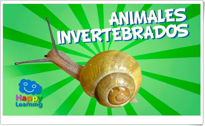 Animales invertebrados Vídeo de Happy Learning Ciencias Naturales de Primaria