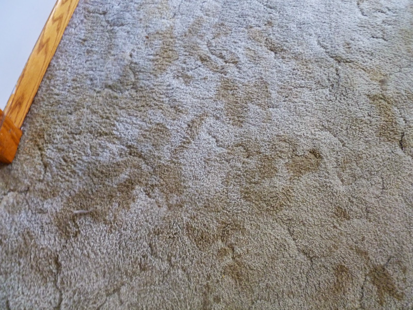 Stranded in Chaos The LUMP... under the carpet