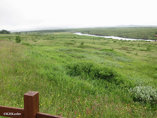 Fields of Iceland