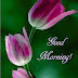 Top 10 Quotes Images, Greetings, Pictures for WhatsApp-bestwishespics