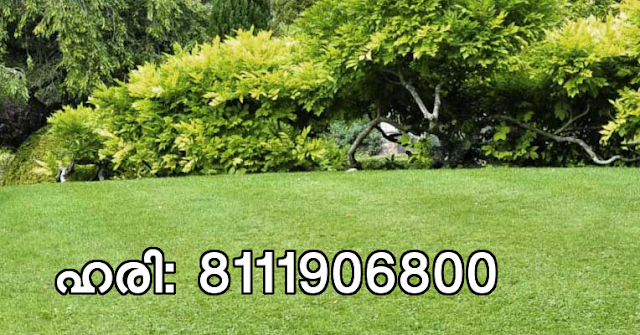 Landscaping Service Ettumanur, Kottayam