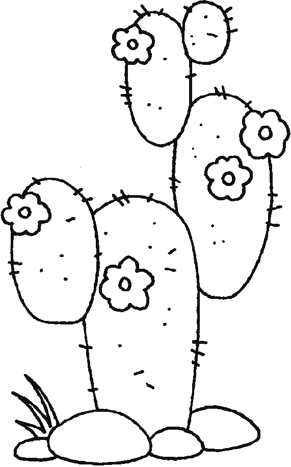 cactus coloring pages plants - photo #19