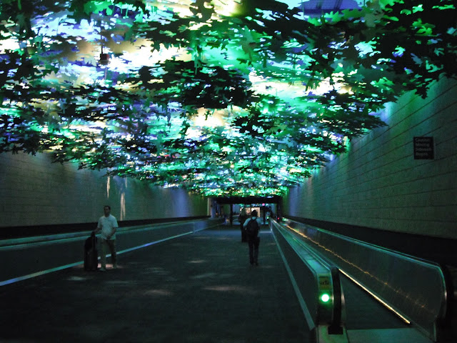Atlanta airport A B concourses art forest Atlanta airport A B concourses art forest
