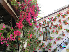 Patios de Córdoba