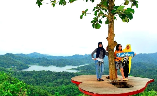 Wisata Alam Kalibiru Kulon Progo, Tiket Masuk & Paket