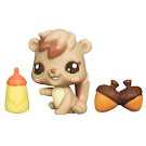 Littlest Pet Shop Baby Pets Squirrel (#2562) Pet