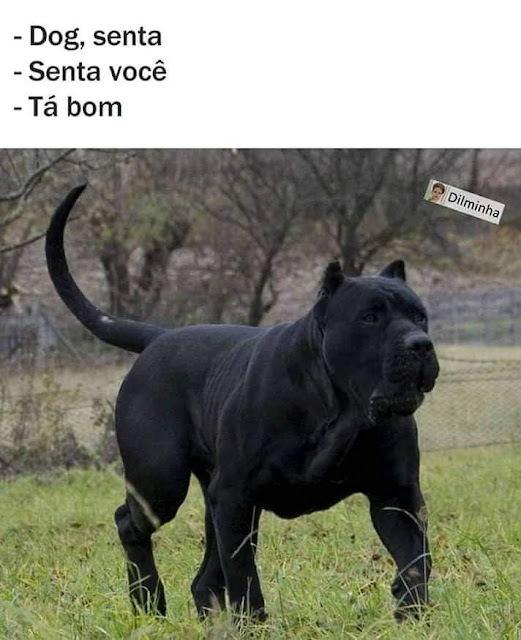 Memes engraçados Memes engraçados