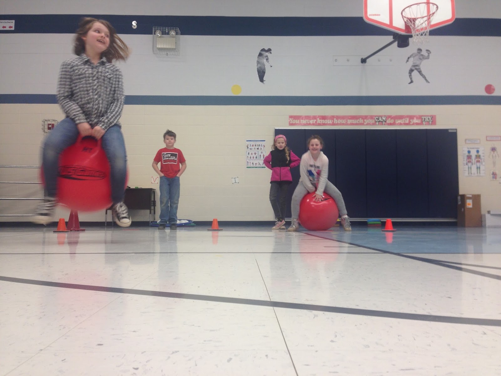 Hound Dog Headlines Jump Rope/Hoops for Heart