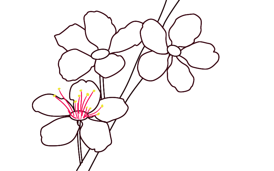 Featured image of post How To Draw Sakura Tree Step By Step