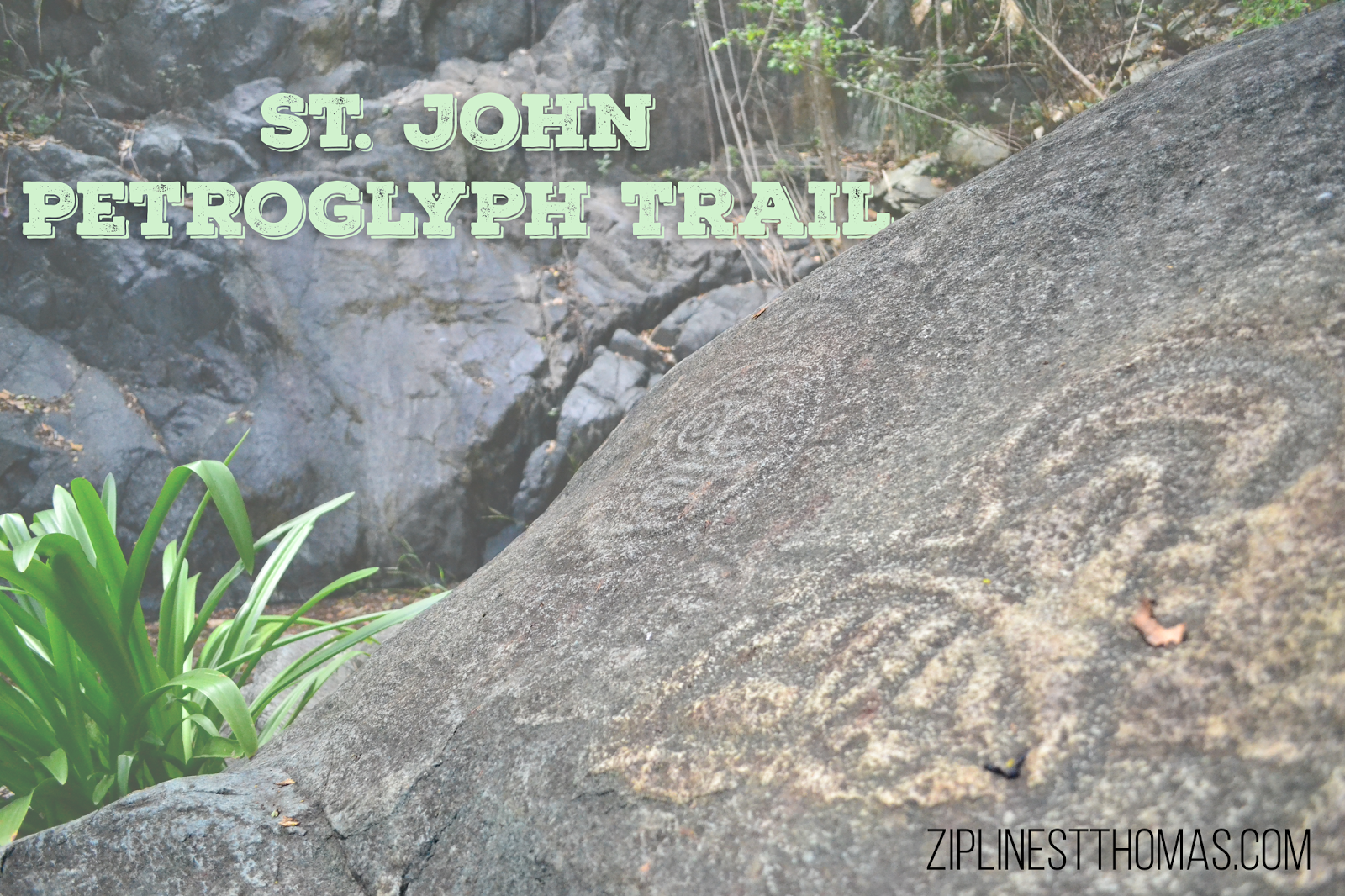 st thomas has so much to offer but when it comes to the neighboring island of st john it pales in comparison with nature trails st thomas has so much to offer but when it comes to the neighboring island of st john it pales in comparison with nature trails