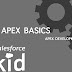 APEX BASICS