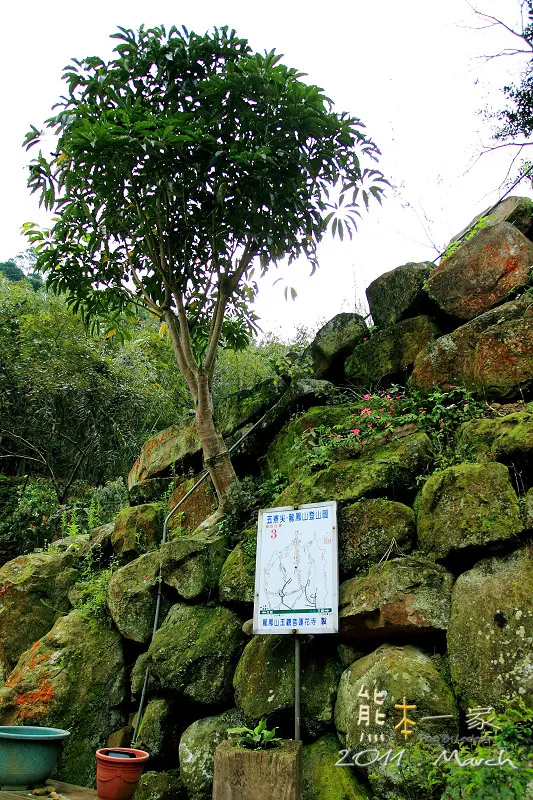 五寮尖|三峽小百岳|五寮尖和石碇鄉的皇帝殿齊名|玉觀音蓮花寺、福德宮、濟玄堂及玉里商店都是五寮尖的登山口