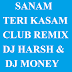 SANAM TERI KASAM - CLUB REMIX DJ HARSH & DJ MONEY