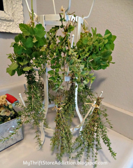 This fab French bottle rack simplifies herb drying without taking up much space: mythriftstoreaddiction.blogspot.com Herb drying