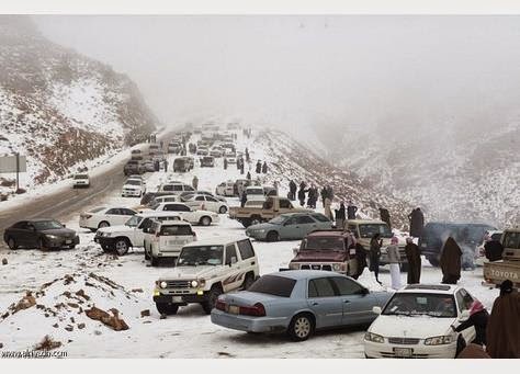 عجزت السيارات عن السير فى السعودية فكانت الزلاجات والجمال الثلجية هى الحل