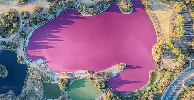 Pink Lake Of Australia Pink Lake Of Australia