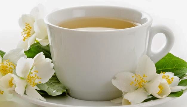 bebidas para adelgazar té blanco