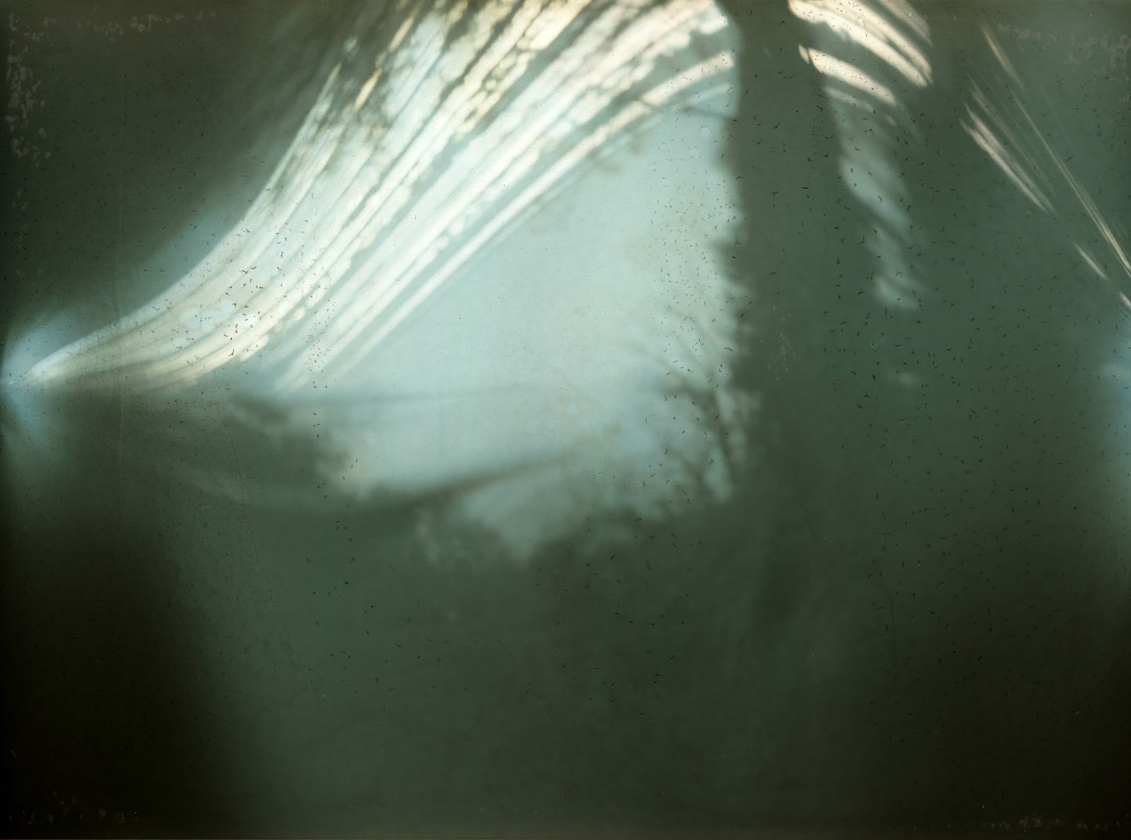 Pinhole camera mounted among some trees and overlooking Puget Sound at ...