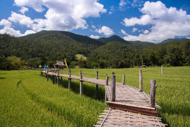 The most beautiful attractions in Northern Thailand 