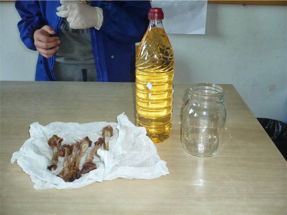 Esperimento Osso Di Pollo Nell Aceto