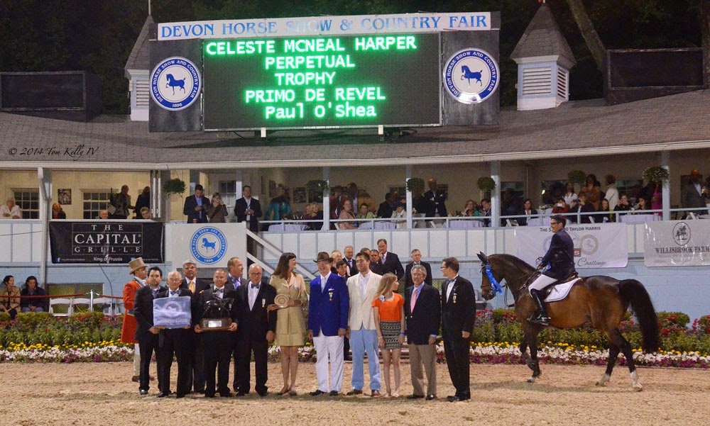 Tom Kelly IV Recent Works Devon Horse Show Grand Prix, and a local