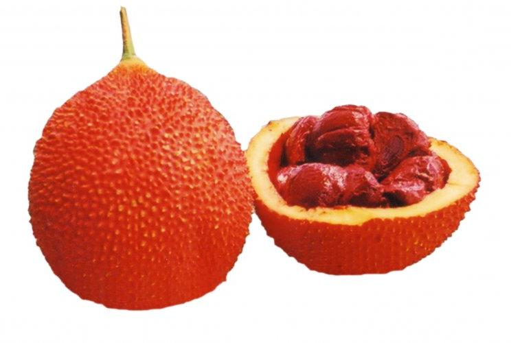 Các lợi ích về sức khỏe của gấc cho chúng ta Các lợi ích về sức khỏe của gấc cho chúng ta
