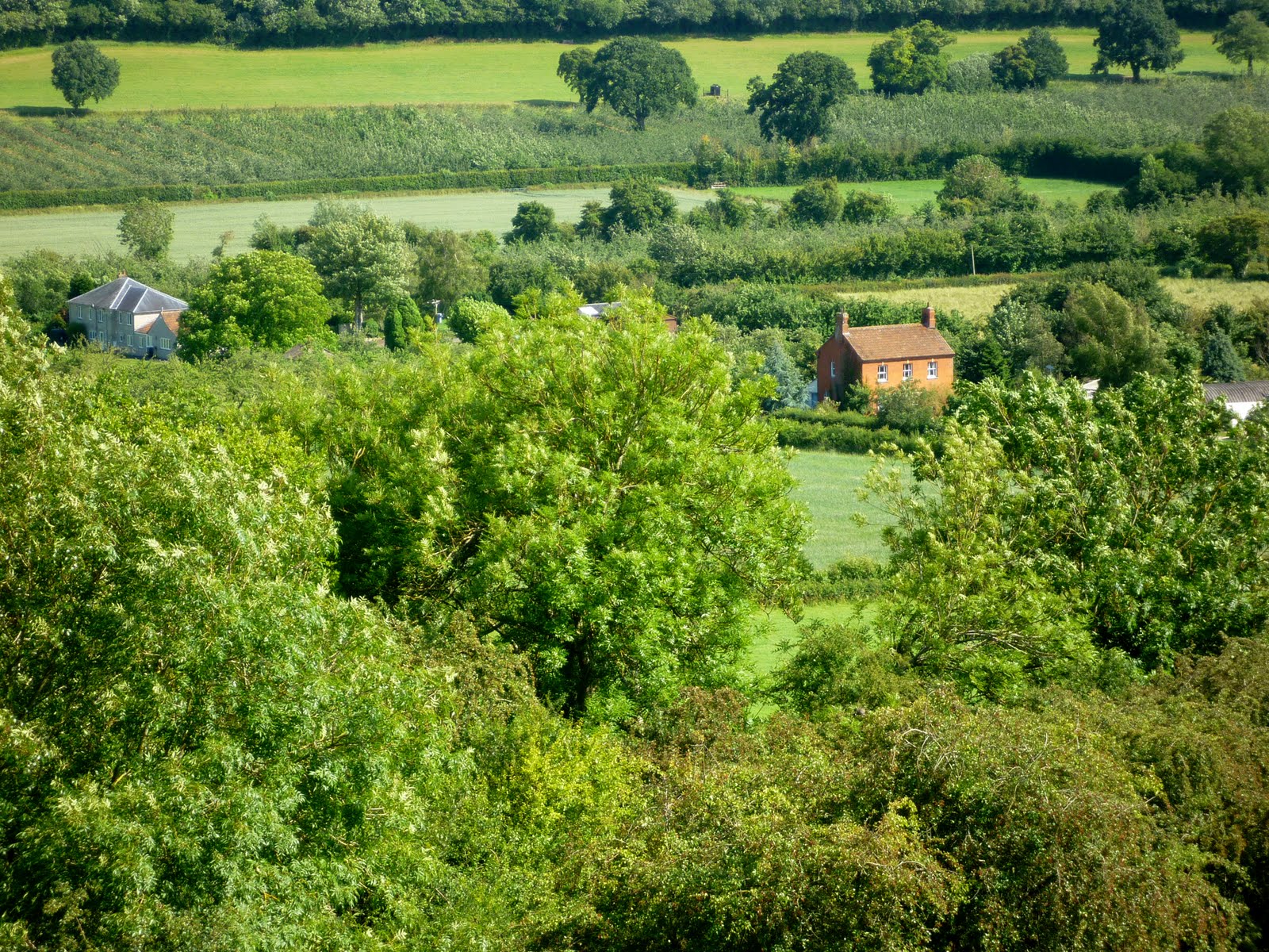 a patch of shade: the beauty of england
