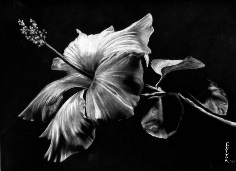 Digital Mixed Media Scratchboard Art part 1