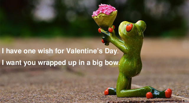 Valentines Day Messages 2017