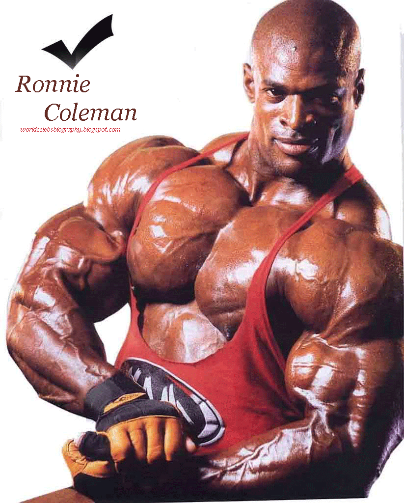 Ronnys No 1 Ronnys No 1