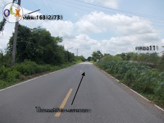 ที่ดิน ราคาถูก