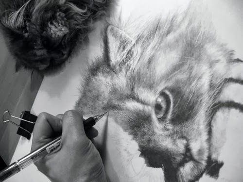 11-Hyper-realistic-Cats-Pencil-Drawings-Hong-Kong-Artist-Paul-Lung-aka-paullung-www-designstack-co