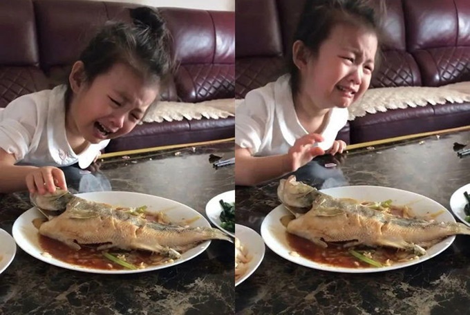 이미지에 대체텍스트 속성이 없습니다; 파일명은 xn5g5c2i2m81y2239l4l.jpg 입니다.