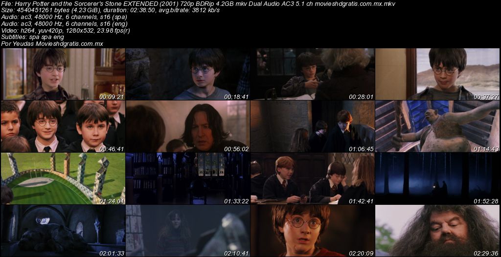 Harry Potter and the Sorcerers Stone 2001 English Subtitles