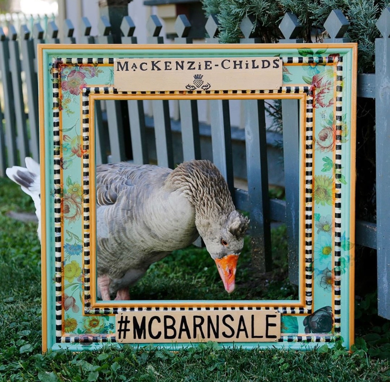 Mackenzie Childs Barn Sale 2018 The Haul Mountain Breaths