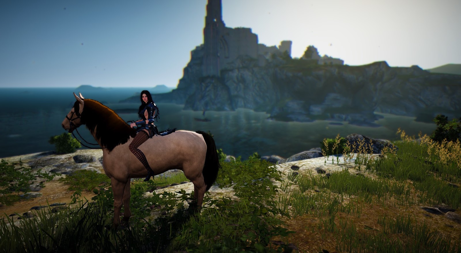 black desert horse exchange black desert horse exchange