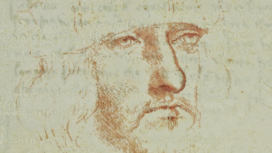Leonardo da Vinci possible new self-portrait