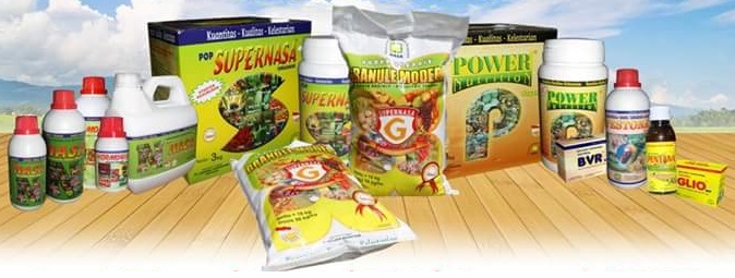 AGEN PUPUK NASA - JUAL PUPUK NASA - SUPPLIER PUPUK NASA DI KOTA WAJO SINGKANG AGEN PUPUK NASA - JUAL PUPUK NASA - SUPPLIER PUPUK NASA DI KOTA WAJO SINGKANG