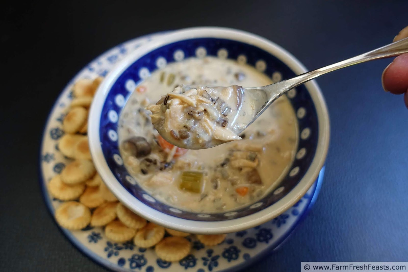 Instant Pot Chicken Wild Rice Soup Recipe