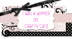 Prize winner at Crafty Catz