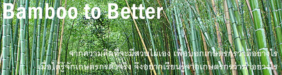 bamboo to better, ปลูกไผ่, ไผ่กิมซุ่ง, ไผ่, สวนไผ่, สหกรณ์ไผ่, ชัยนาท