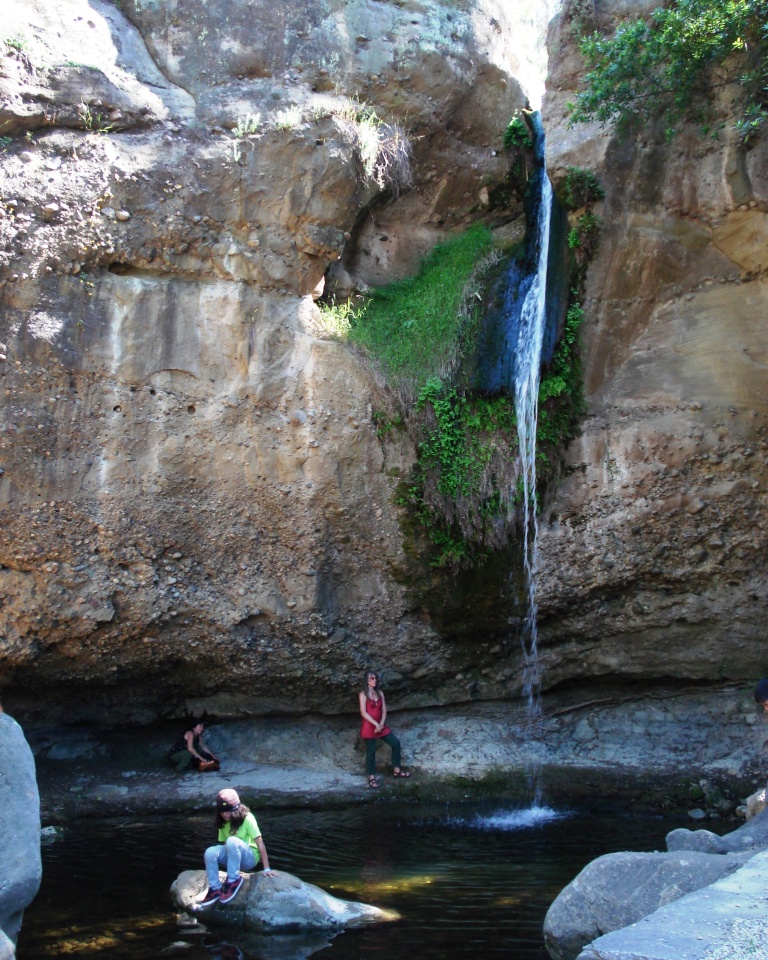 Doves Today Owl Falls