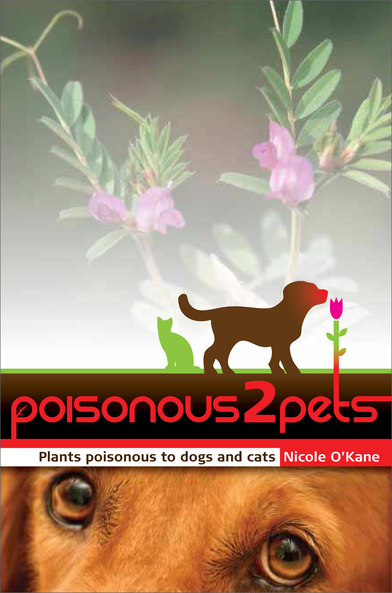 Is Jasmine Vine Poisonous To Dogs Is Jasmine Vine Poisonous To Dogs