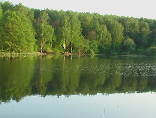 Лесной пруд Вязовка