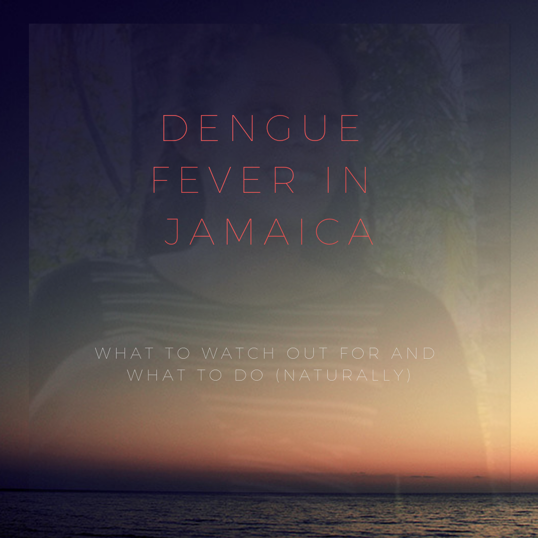 DENGUE FEVER in Jamaica What to look out for and what to do (naturally)