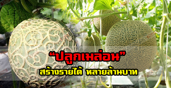 à¸à¸¥à¸à¸²à¸£à¸à¹à¸à¸«à¸²à¸£à¸¹à¸à¸ à¸²à¸à¸ªà¸³à¸«à¸£à¸±à¸ à¹à¸à¸©à¸à¸£à¸à¸£à¹à¸¡à¸·à¸à¸à¸à¸£à¸±à¸à¸à¸¥à¸¹à¸ âà¹à¸¡à¸¥à¹à¸à¸â à¹à¸à¹à¹à¸à¸à¸à¸´à¸à¹à¸à¸°à¸ªà¸¥à¸±à¸à¸à¸·à¹à¸à¸ªà¸£à¹à¸²à¸à¸¡à¸¹à¸¥à¸à¹à¸²à¹à¸à¸´à¹à¸¡