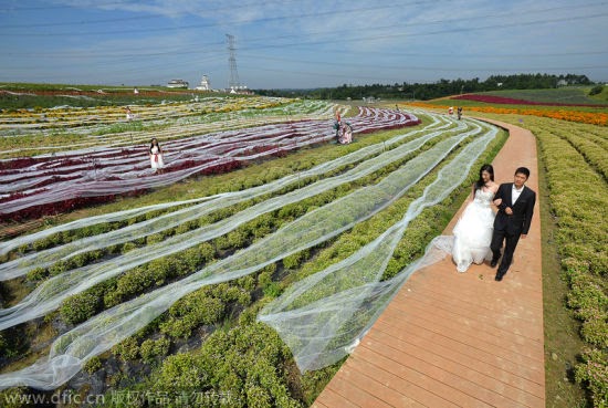 Inilah Gaun Pengantin Paling Panjang di Dunia gaun pengantin terpanjang di dunia