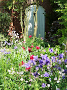 My front garden, May 2013