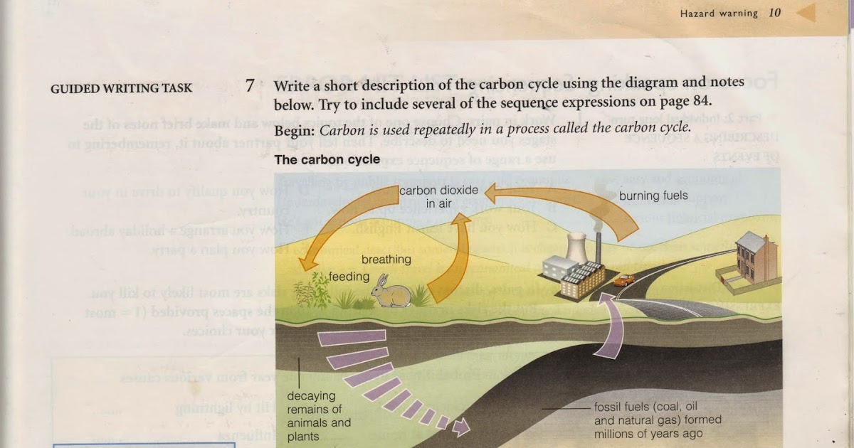 Random Book and Movie Reviews: Write a short description ... ielts writing diagram process 